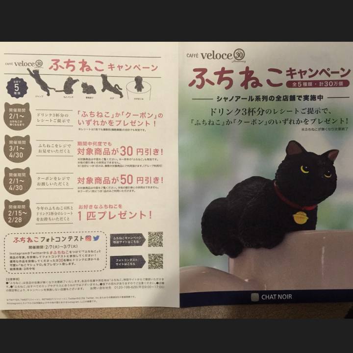 436dc61c d3c1 4575 8f7c 94ab48b28b67