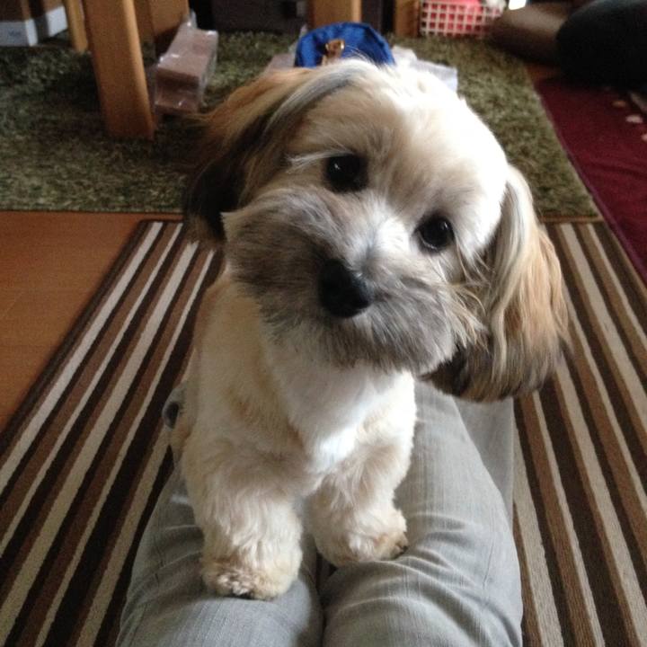 436dcfa0 fa83 4f87 89a0 20cf58ddb615