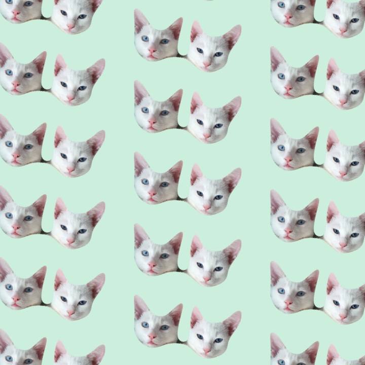 436e3e5e 4e86 4682 8923 90e855918fb0