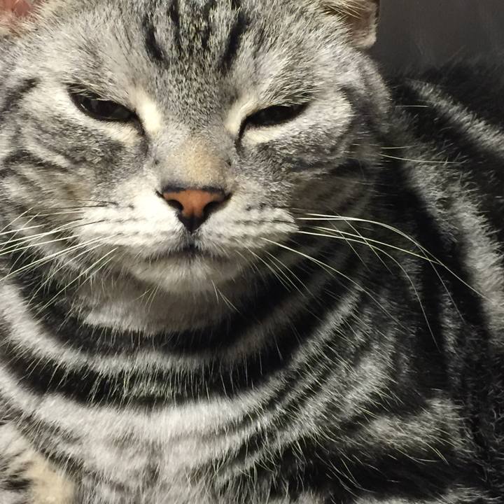 436ebb90 b99e 4573 9f56 7b790781726b