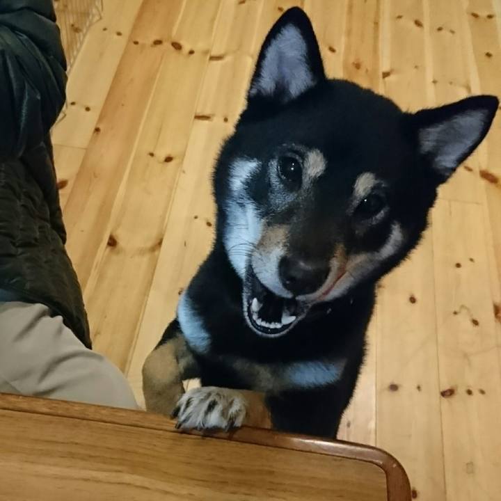 436ec419 ded9 4186 bb31 e370c91294d4