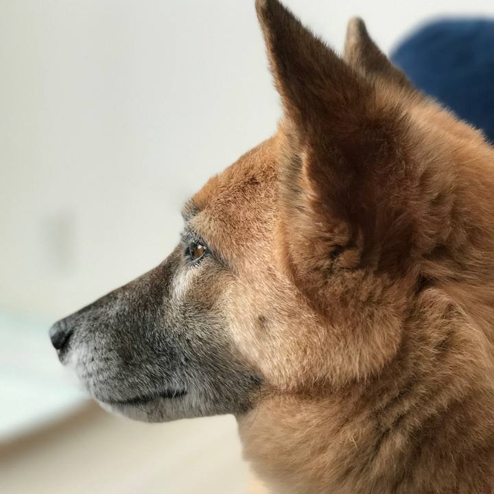 436ee389 790a 4a46 95af 4e4d9402de9a