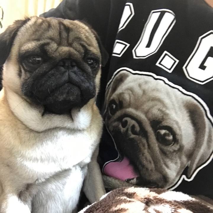 436efdbc 80ab 45ff 9ff7 bad216fcba92