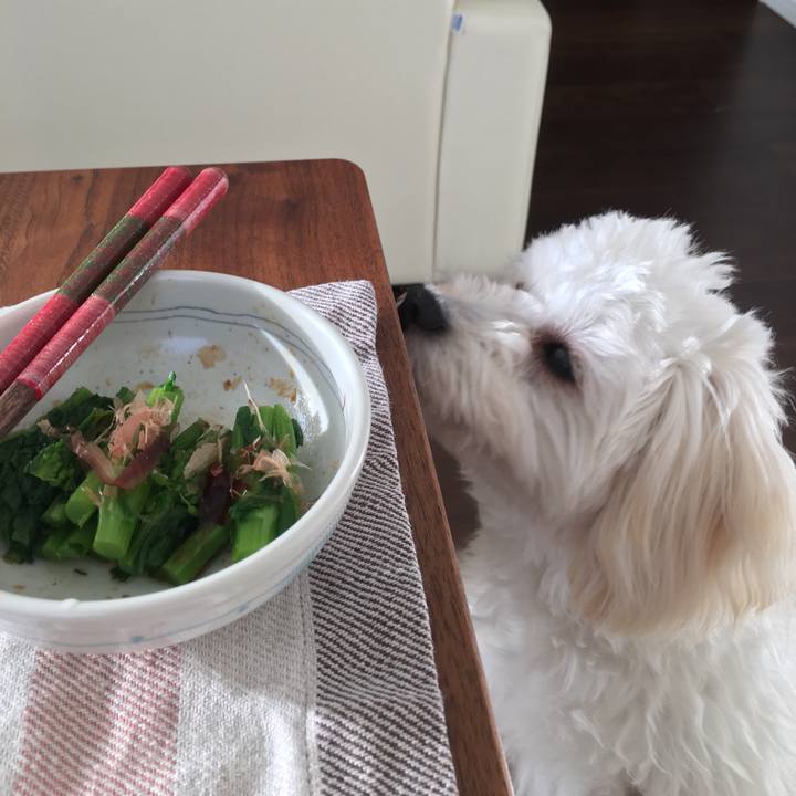 436f52ee 4901 403d 897b ec4b79d5fa50