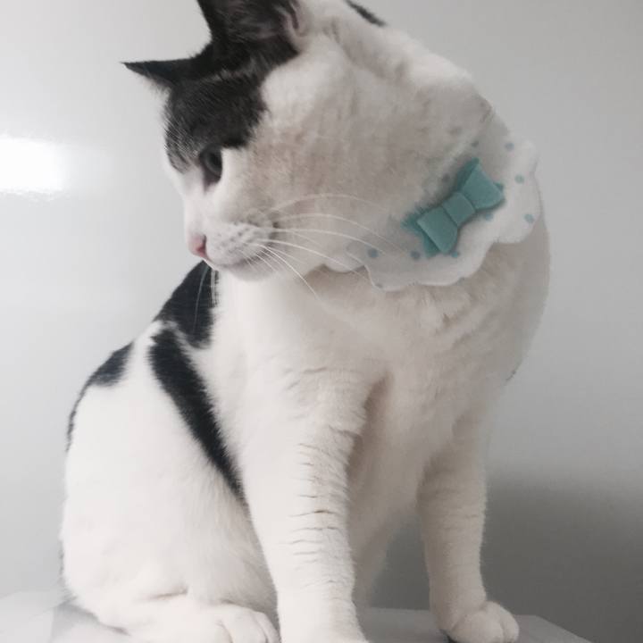 436f80fa 378b 4af3 82c9 5729d9ec8739