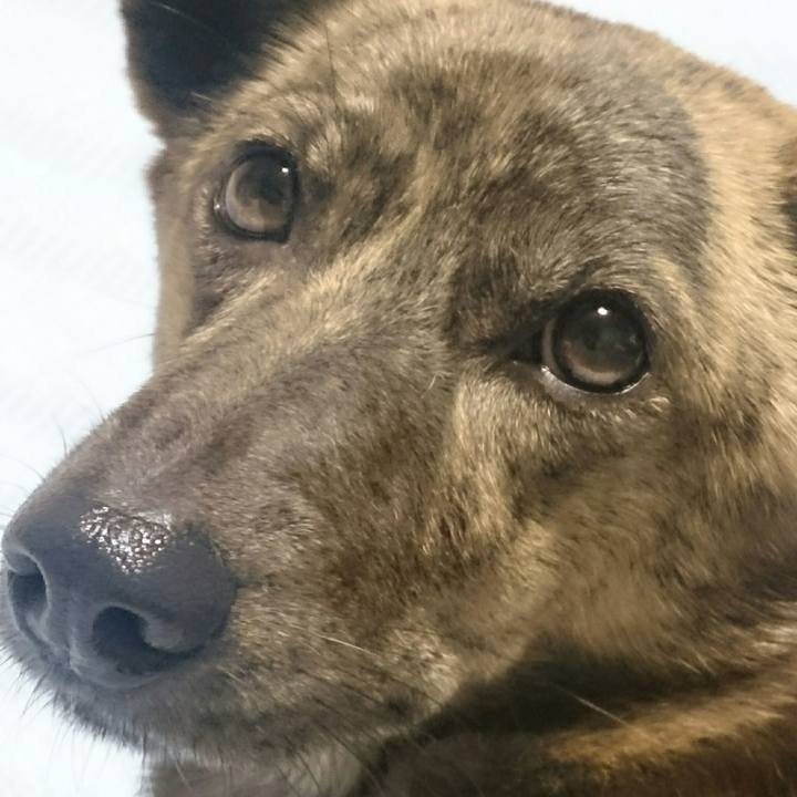 436fe7e0 d4fc 401a bfbd 45f88abc8d03