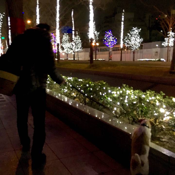 43708750 f15b 4db8 8aa1 19cd8f2f88e3