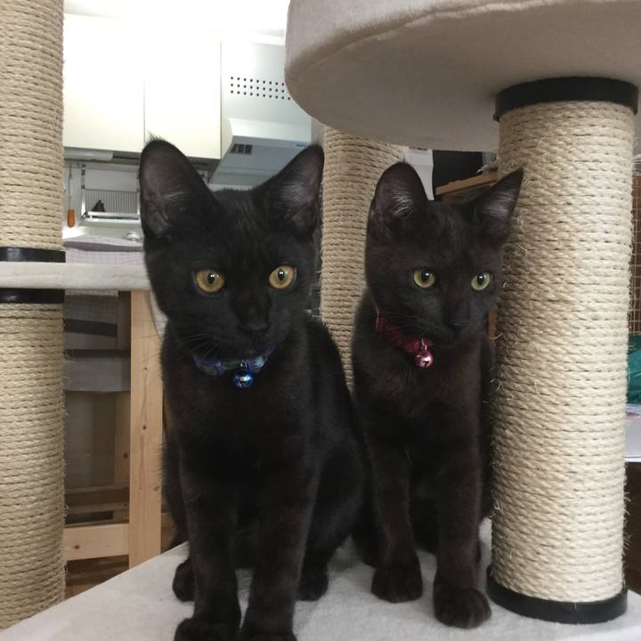 43711718 fe36 4b12 adaf 3eecdb2fffec