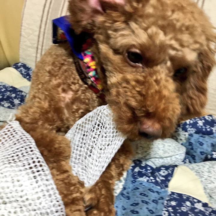 43713bed aa0c 406c 8bca 9dba0d7565f5