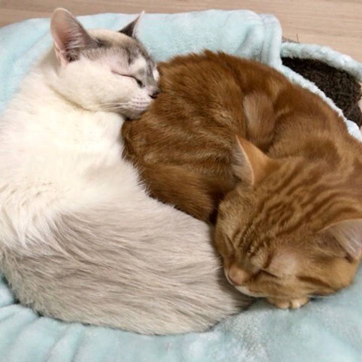 437185e7 423e 4bd4 82db 9674cf119a34