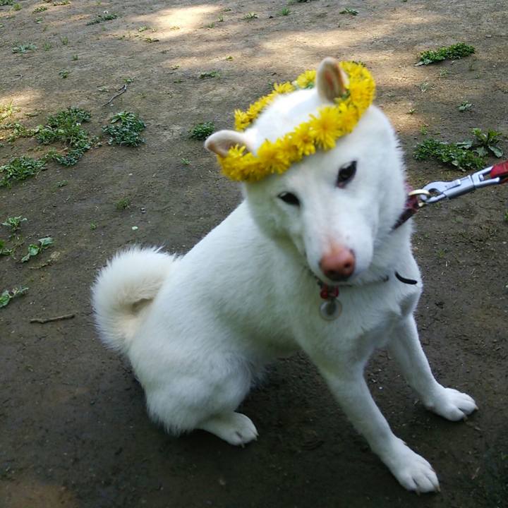 4371b327 29af 4ff6 972f 387b405aa15e