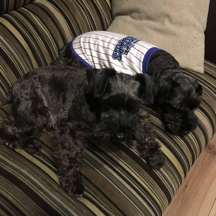 437219b4 94f6 464c 980e 38988ff9933d