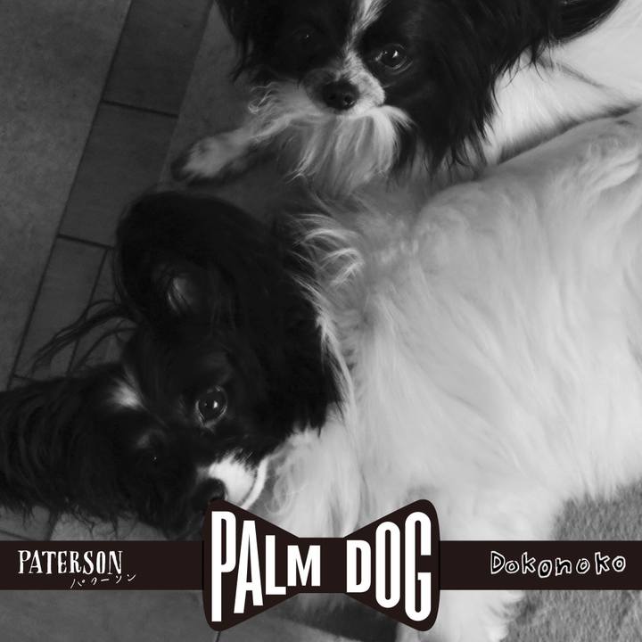 4372867a b30f 4b03 a770 f08d2229a0e2