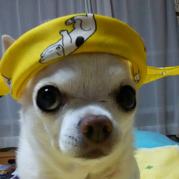 4372ec34 81e4 4a89 b589 4d2d0524e2fc