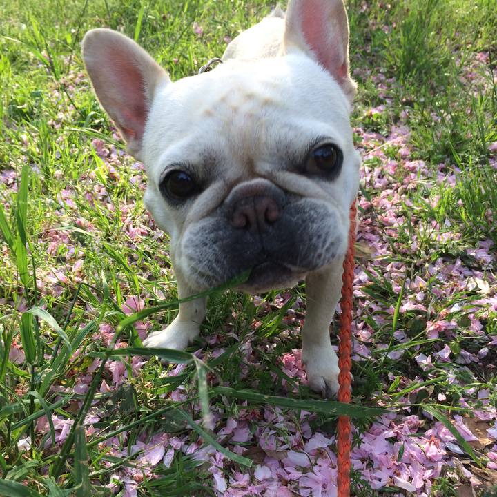 43730b6b 67eb 42d2 b398 eb890f229205