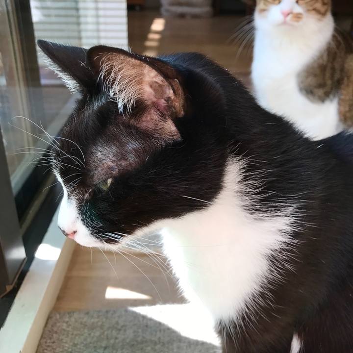 437311bb 627b 43a6 ae22 5340723a2e5c