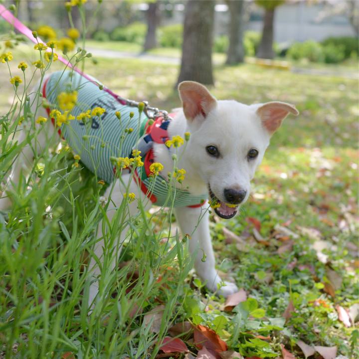 4373a437 5808 4176 9f42 c32e8cceabba