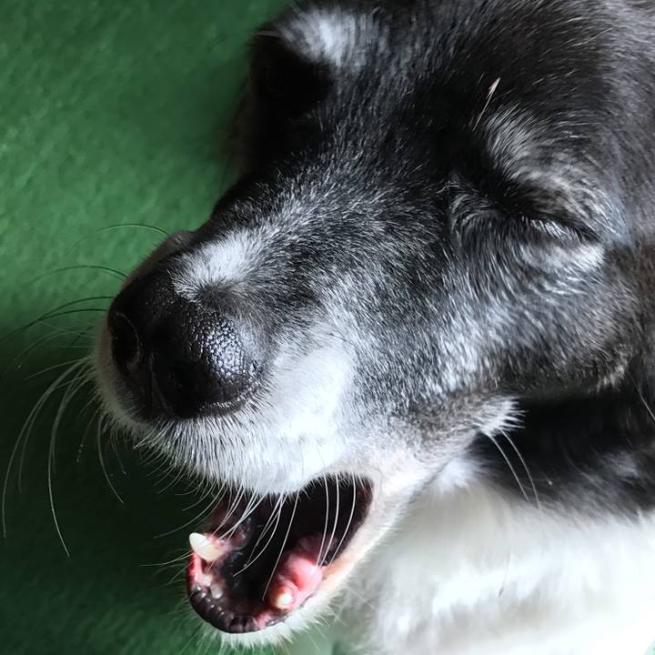 4373de17 7570 4ddd 8a4a 52ae43d05d4f