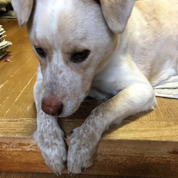 43741a91 f6ba 43d9 b7a6 febfa754da14