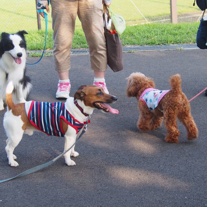 4374883c 3366 475d a122 ddcd1123c400