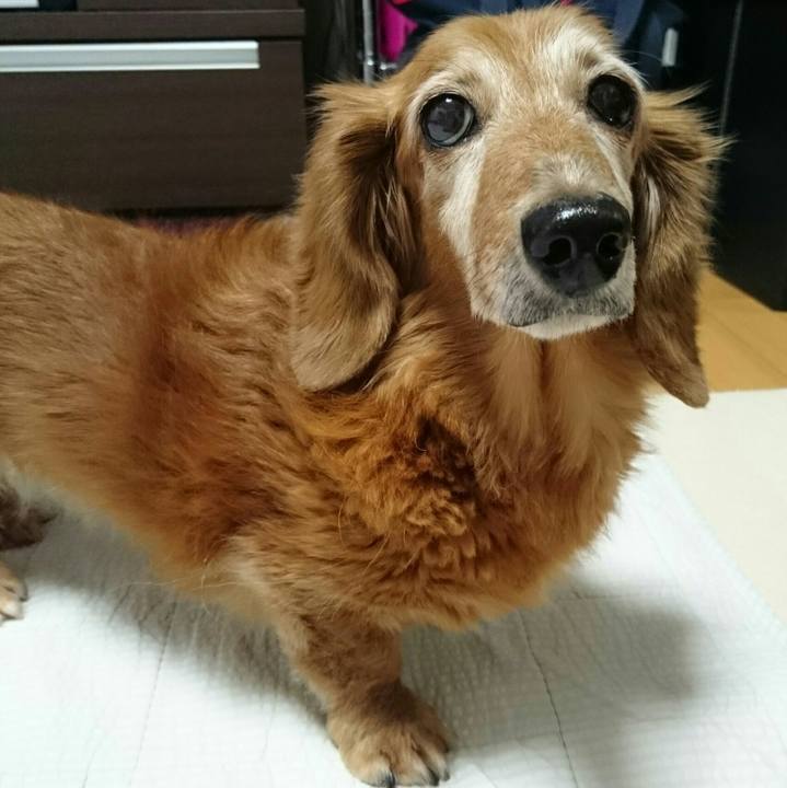 4374ca2c 60bb 4022 a3a7 2760040ed5ab