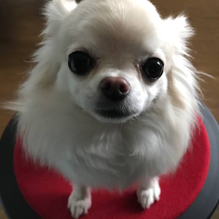 43755b81 5160 4ff2 b667 f874de521b3a