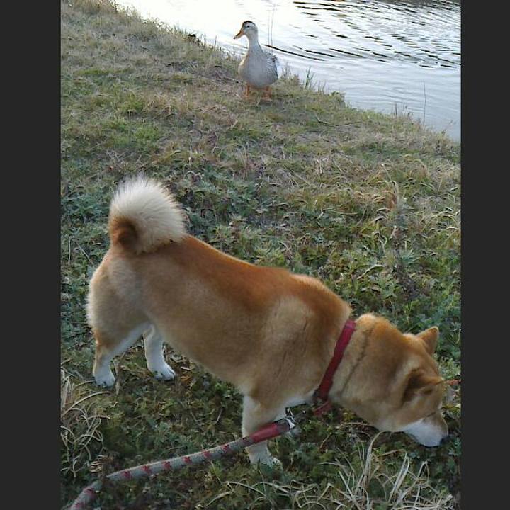 4375a77a 6458 416f a9f7 ba8a5f54bfda