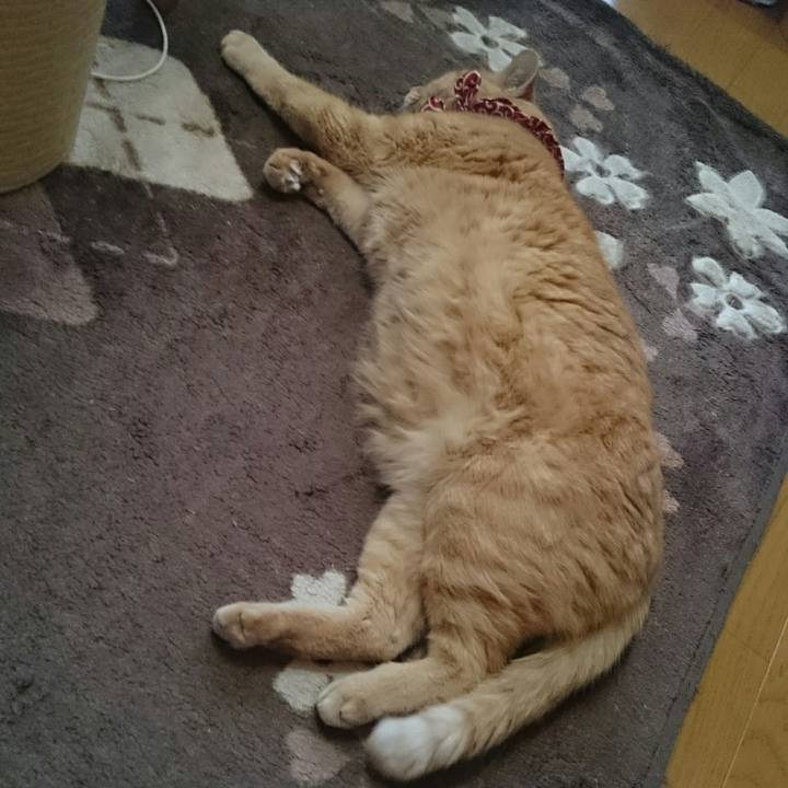 4375b7e5 09f7 4e6c b9c1 ddb7590ffd92