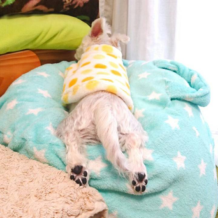 4375be82 1684 4e85 ae07 f276fdd990ac