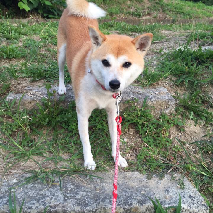 43761068 2b77 4cf8 9cda 2ffa79dcb49b