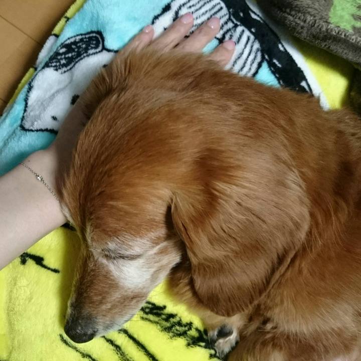 4376501a 973e 4173 be49 b11dccbf3e5b