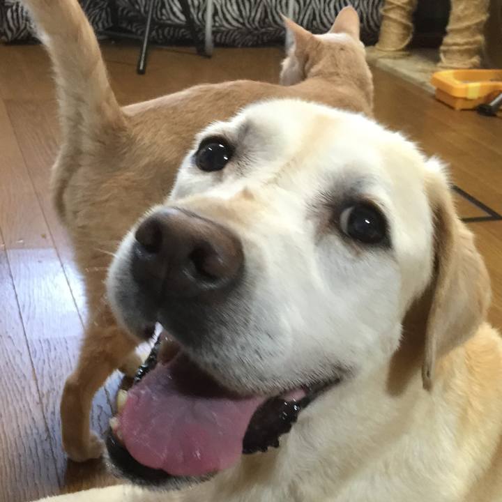 4376c8ab 91b2 41e7 a3de 1dfc2dd1815f