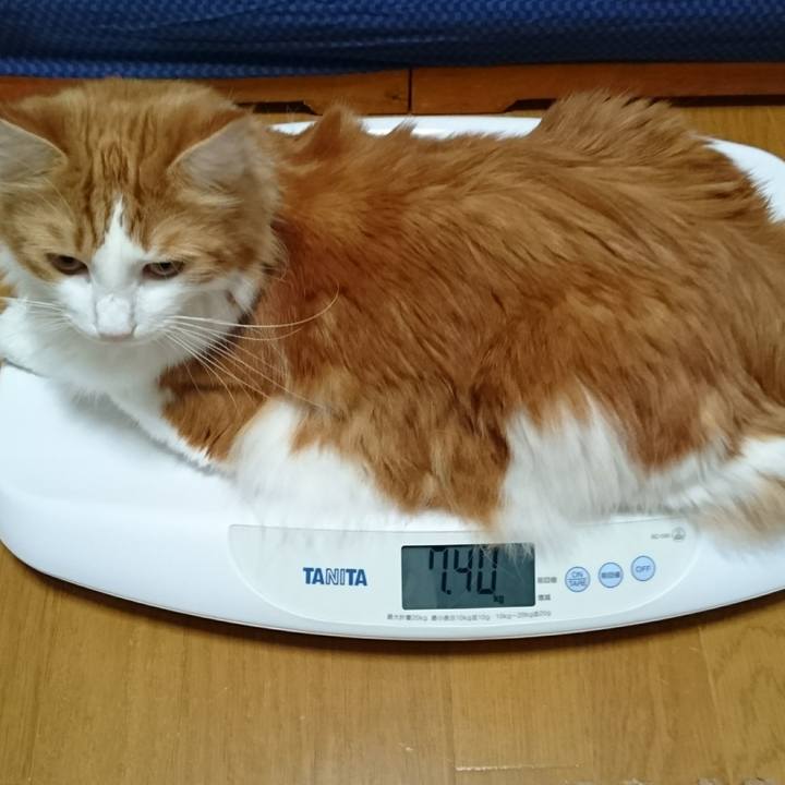 4376d62d acdc 4f04 aa2e 32d7d309f7f2