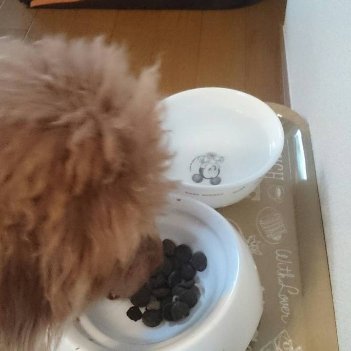 4376edbd f295 45f6 be55 923f6de9fc42