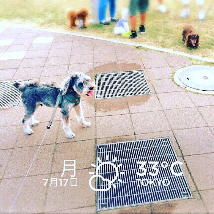 4377bb2e e4fa 4f15 a09c 9ce1777a4d4e