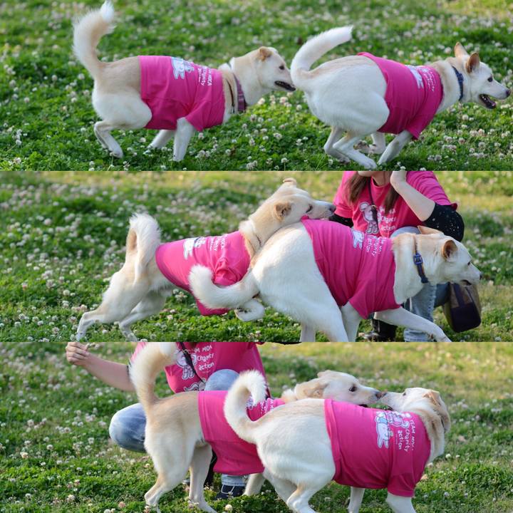 437848a7 172f 40d6 aa9a 47cfeac41fe9