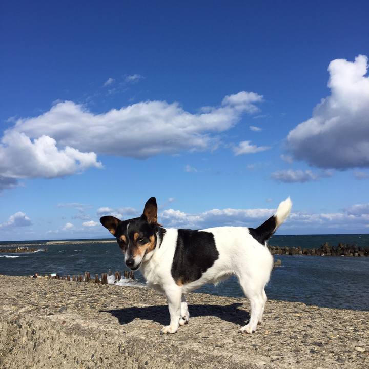 4378586a e411 4357 94e0 5431545ae782