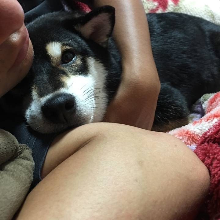 43790f02 dea5 4a86 bc9b 029f563a03cc