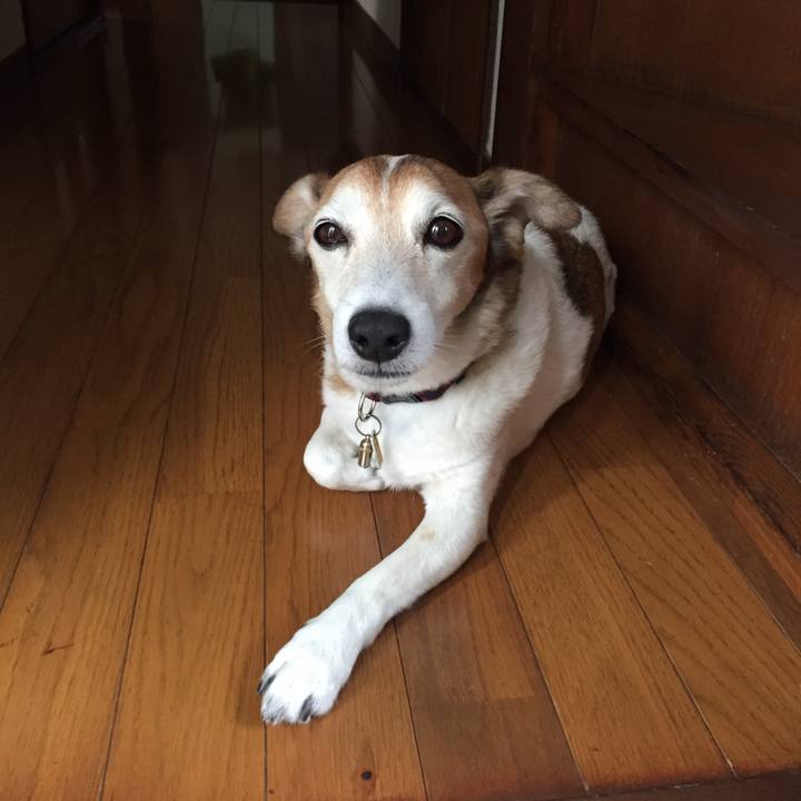 43794dc7 fa37 4e18 8506 d9f9e0114ff8