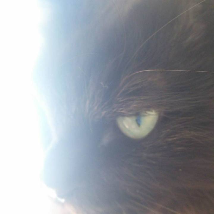 4379f455 cd25 443c 95d0 f146d62c3221