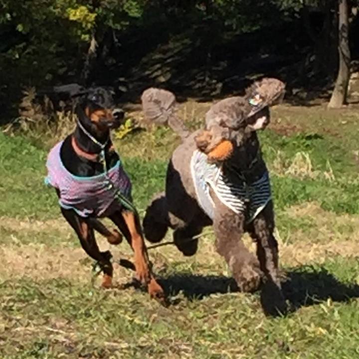 437ad5f3 2f16 476b a609 063528efbaa1