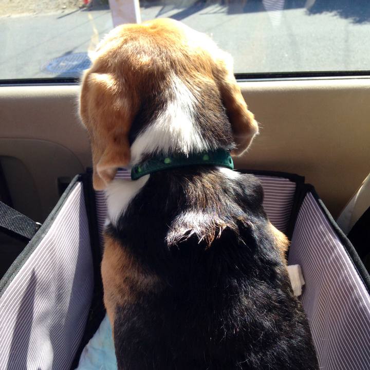 437b9d0d efac 4805 8062 ad6bcd335c82