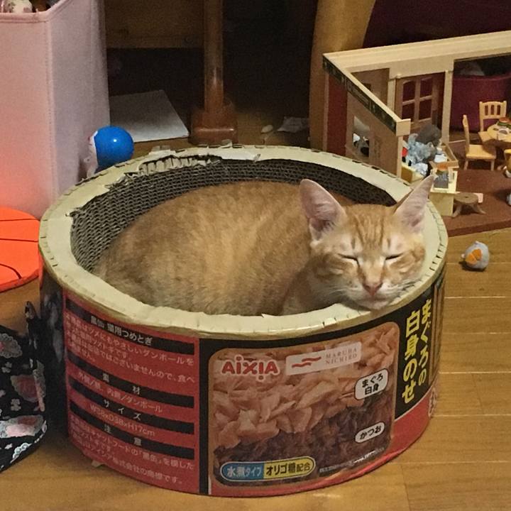 437c40cc aa50 4243 a5ea b34a7686deba