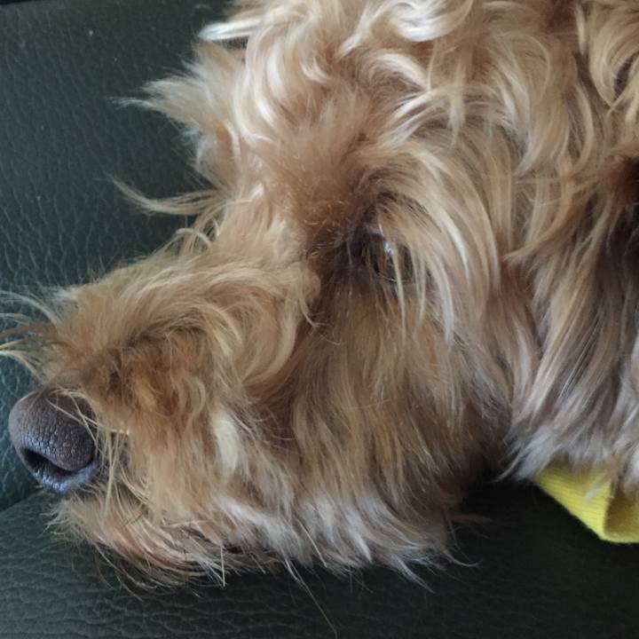 437c4dfa 64e4 4512 9a24 1408c6b7075b