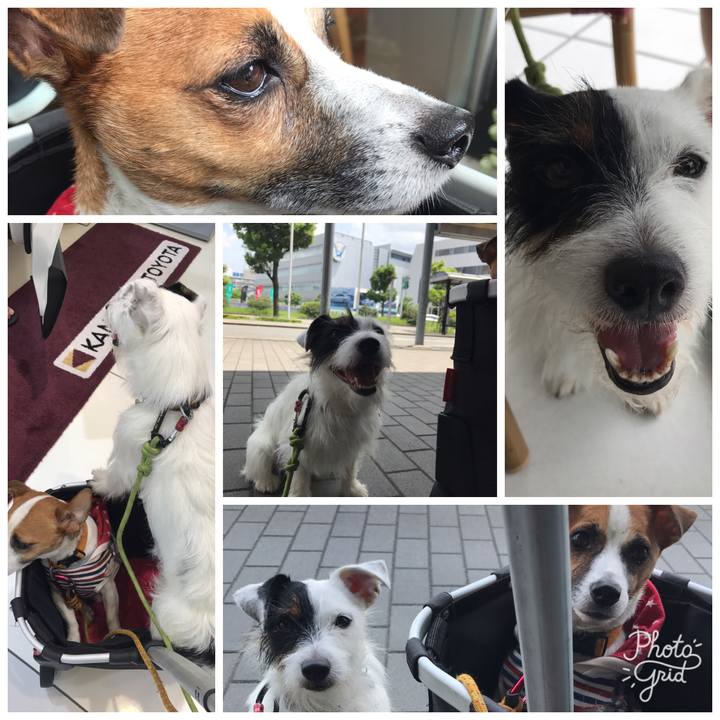 437c8ac0 914b 41a4 adfe baf1fd38a096