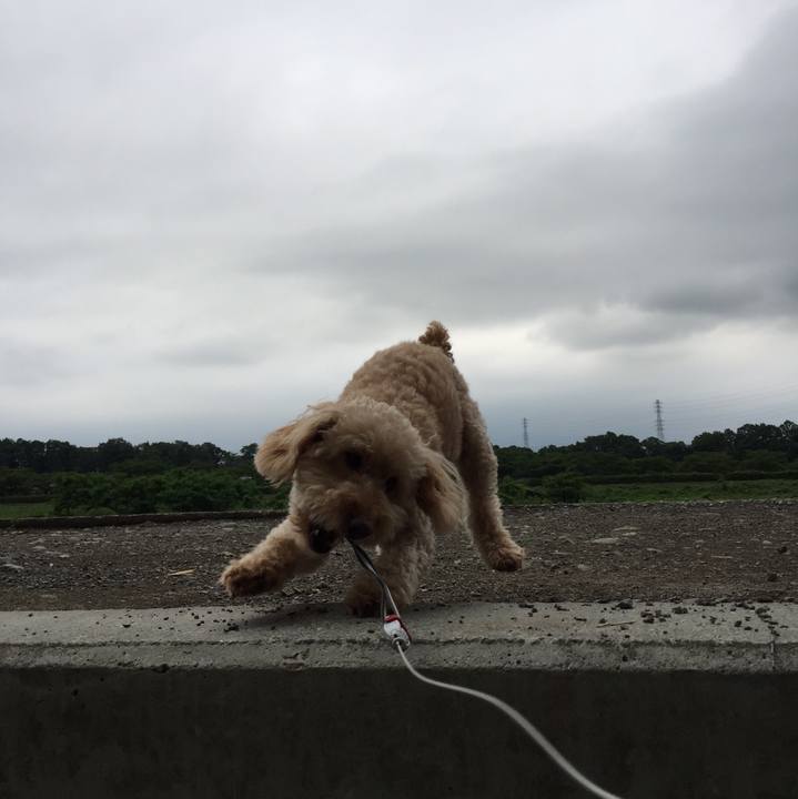 437cffea cf6d 45e4 884e 4f55e72198e1