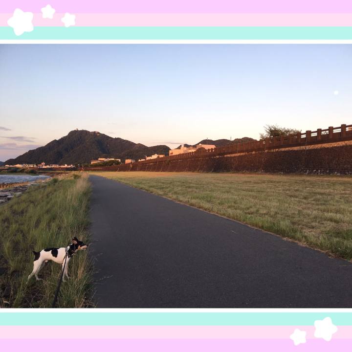 437d3394 5052 43aa abd3 6400b04c4643