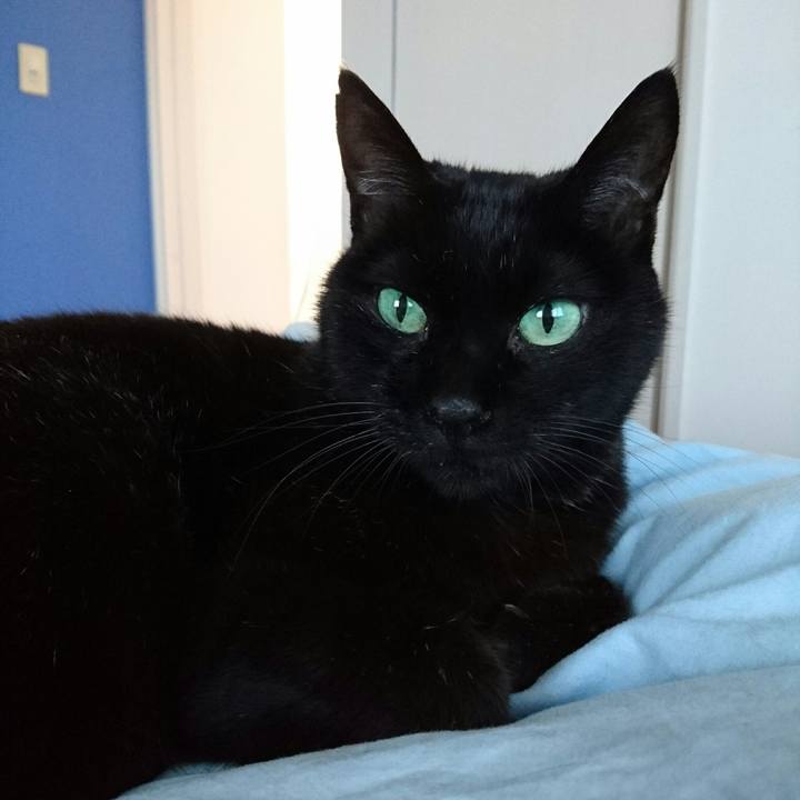 437e52ed 36c8 46f7 8646 45a082e8a8ef