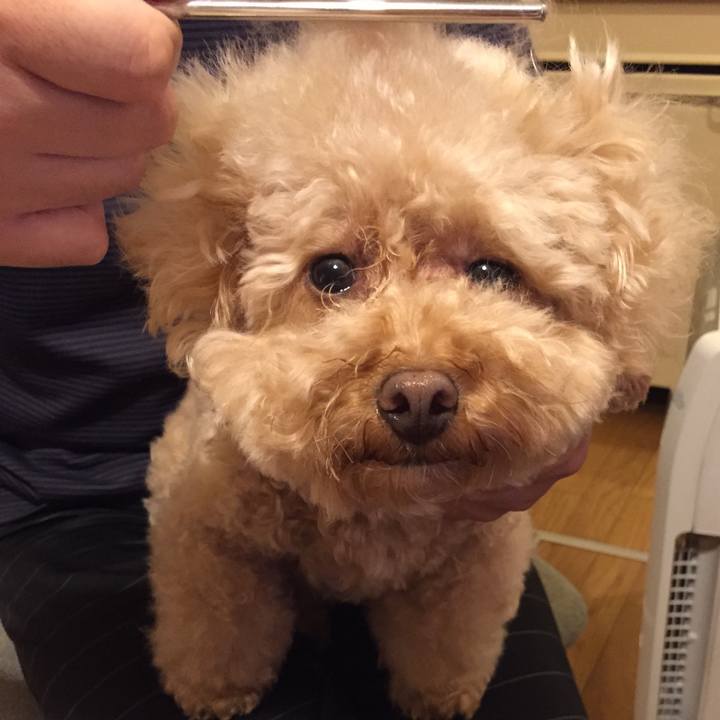 437f72f3 84d0 485c aba2 4ceeb83f8f72