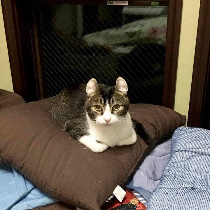 437f9acb 41c6 46ca a98c 25c38075c221